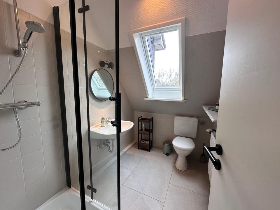 Shower, Toilet, Bathroom, towels