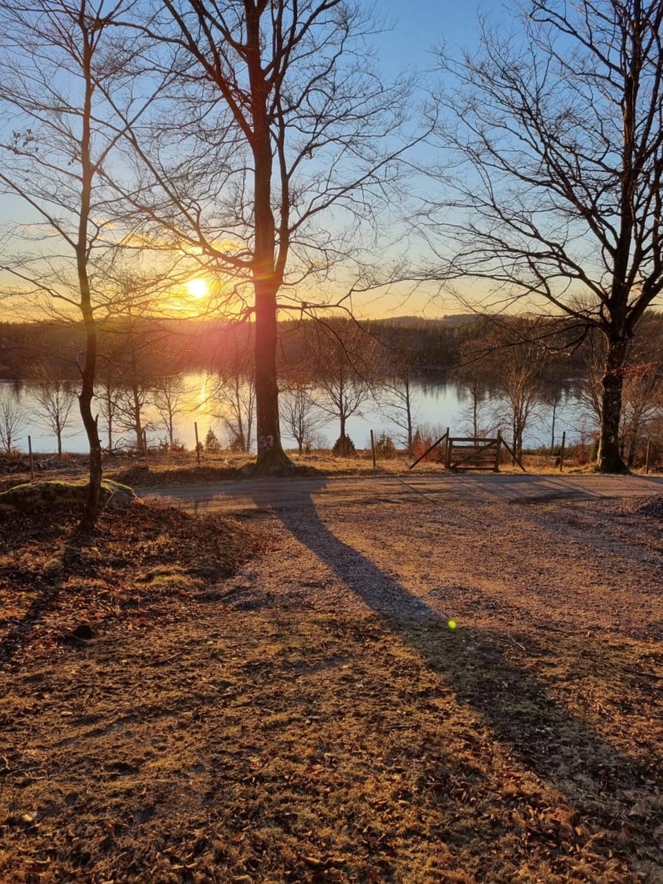 Lake view
