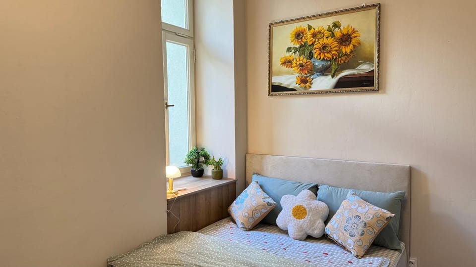Newly renovated apartment in Wenceslas square Apartment in Prague