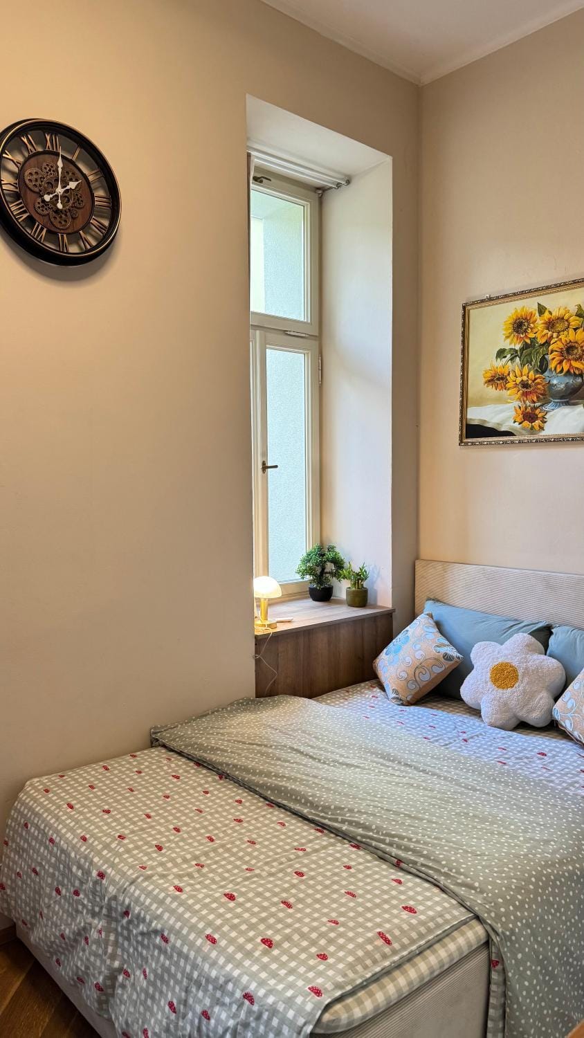 Newly renovated apartment in Wenceslas square Apartment in Prague