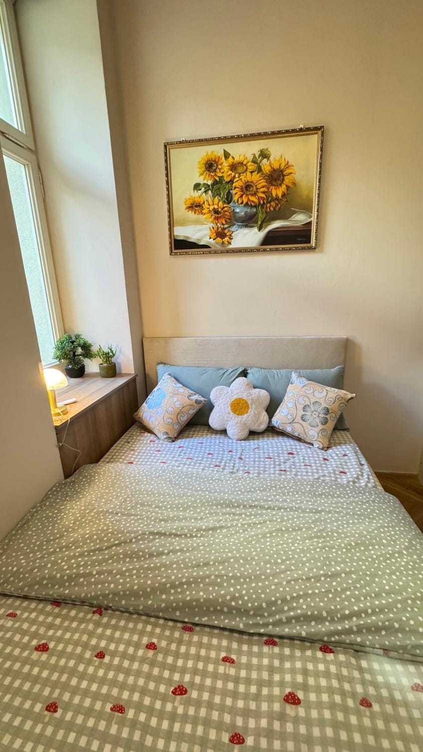 Newly renovated apartment in Wenceslas square Apartment in Prague