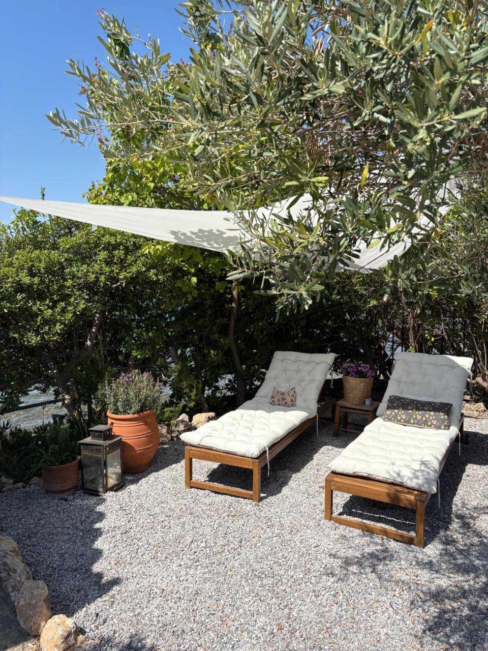 Patio, Garden, sunbed