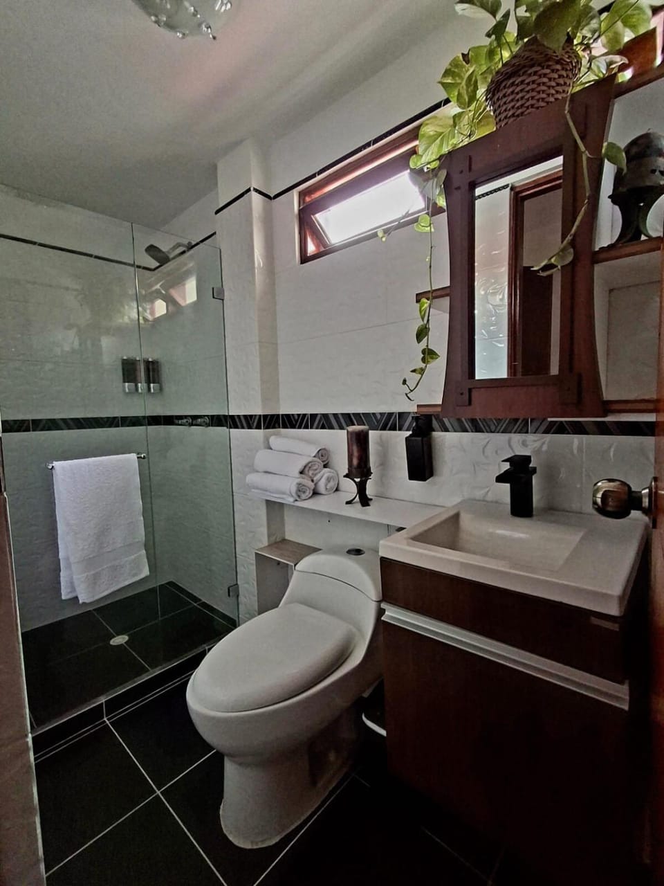 Shower, Toilet, Bathroom, towels
