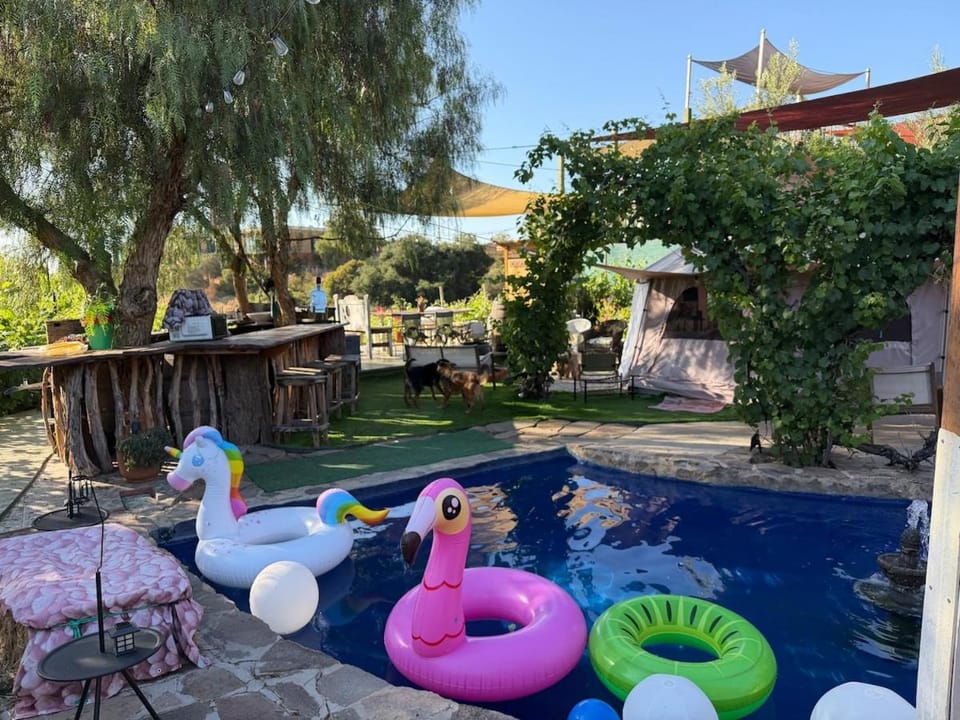 Swimming pool, sunbed