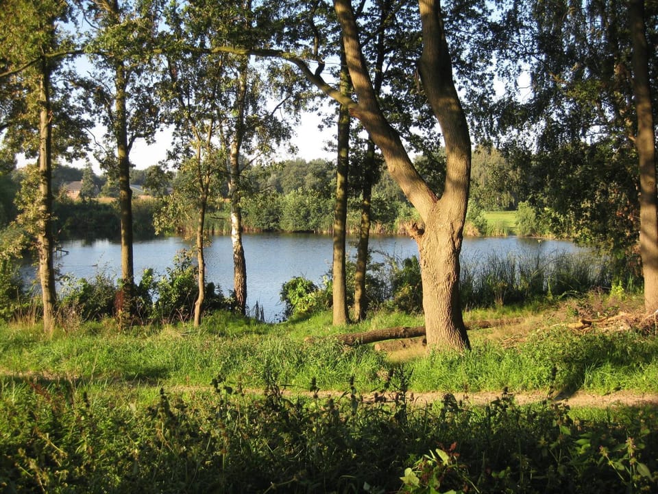 Natural landscape, Summer, On site