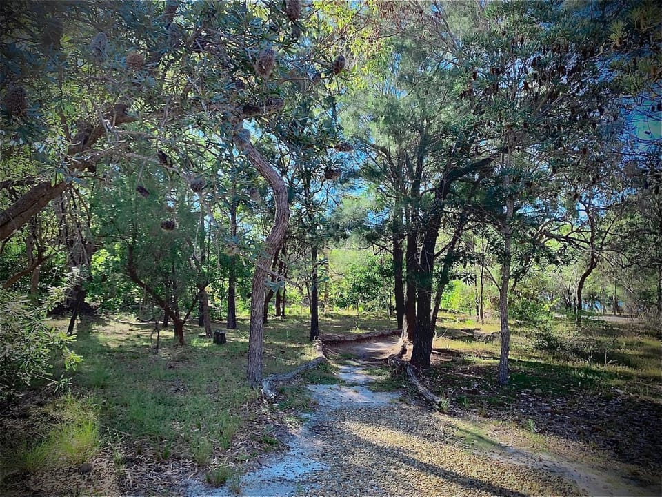 Natural landscape