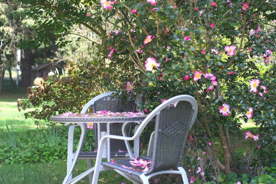 Beautiful Home Away From Home in Bowral House in Bowral
