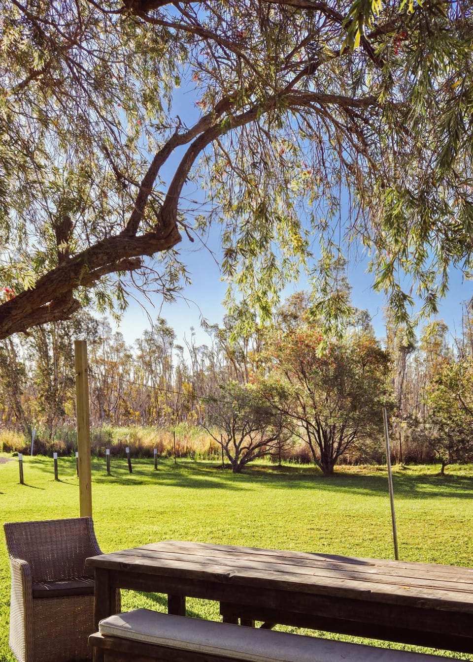 Day, Natural landscape, Garden, Garden view