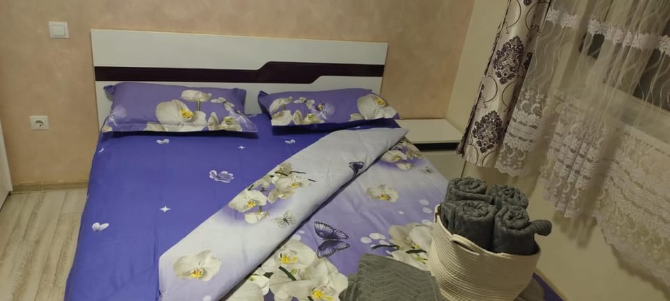 SOPHIA'S Apartment Apartment in Serbia