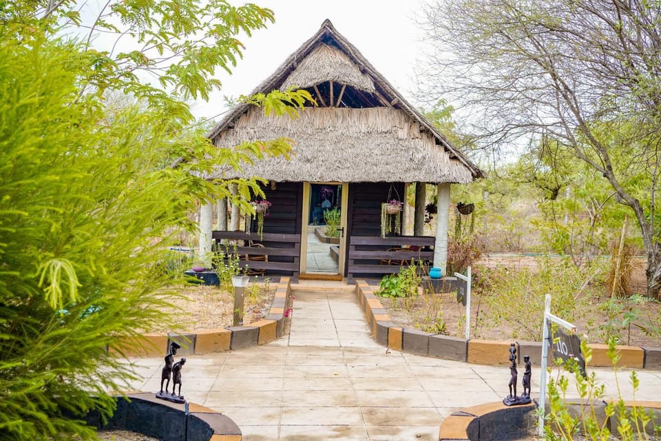 Eliata Bush Camp Hotel in Kenya