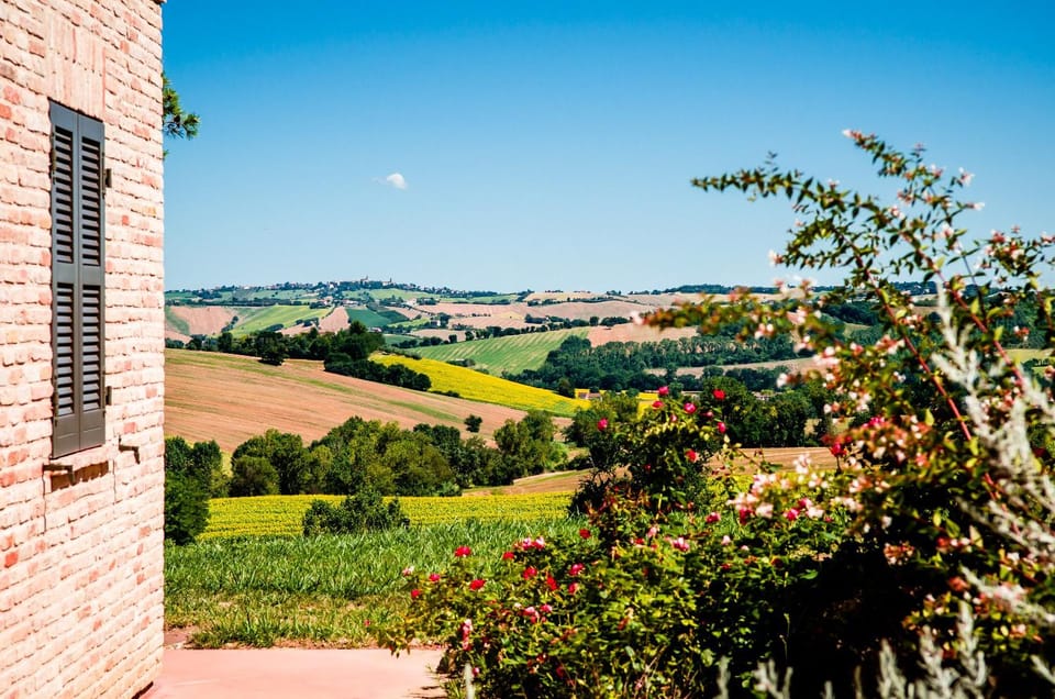 Natural landscape, Garden view