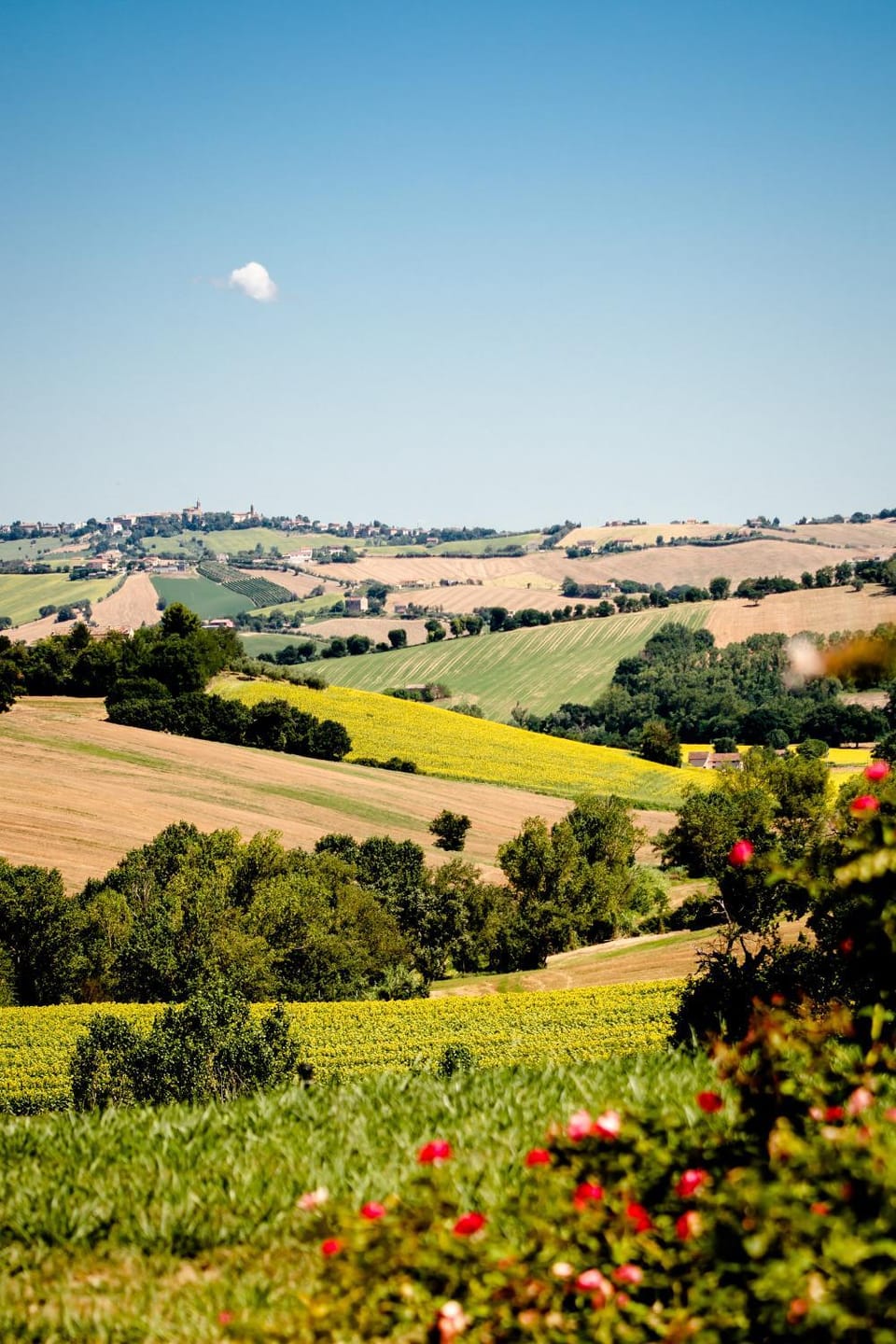 Natural landscape, Garden view