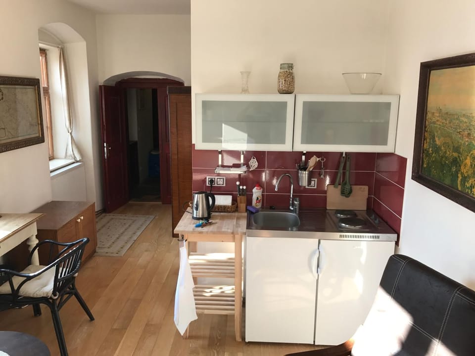 Queen Bee apartments Apartment in Prague