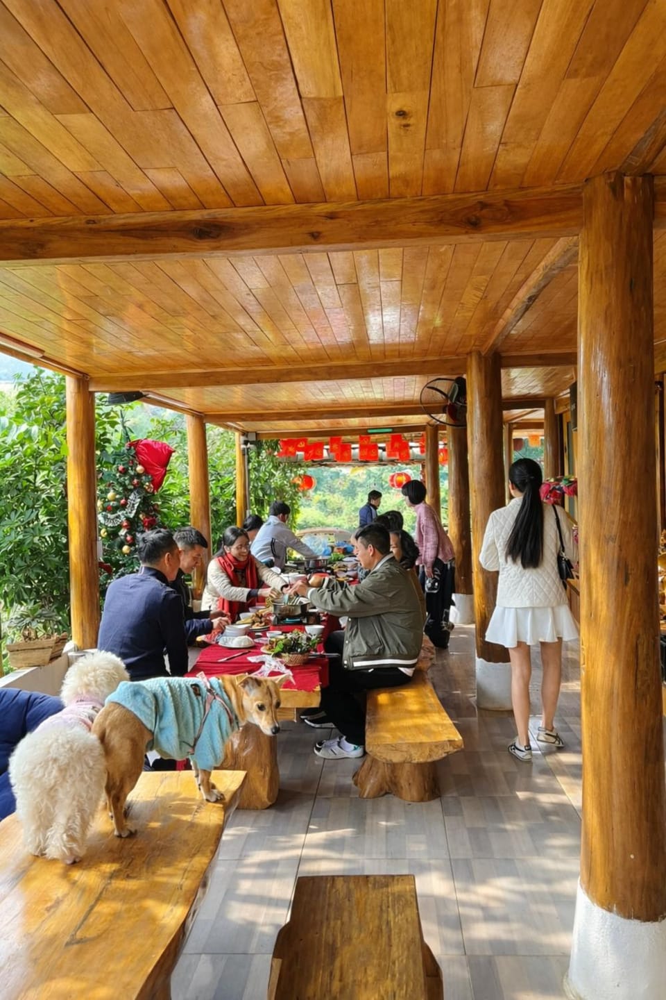 Restaurant/places to eat, Day