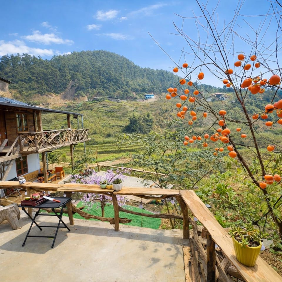 Day, Balcony/Terrace