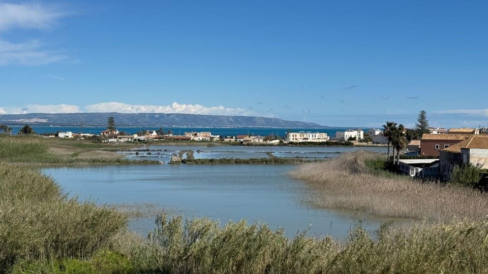 Lake view
