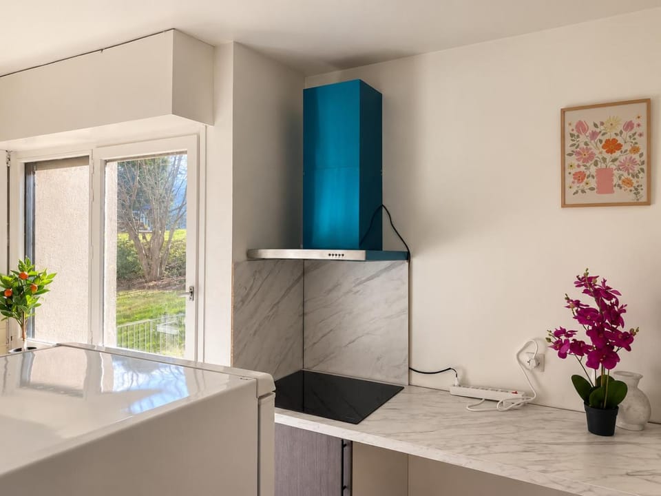 Kitchen or kitchenette, minibar, oven
