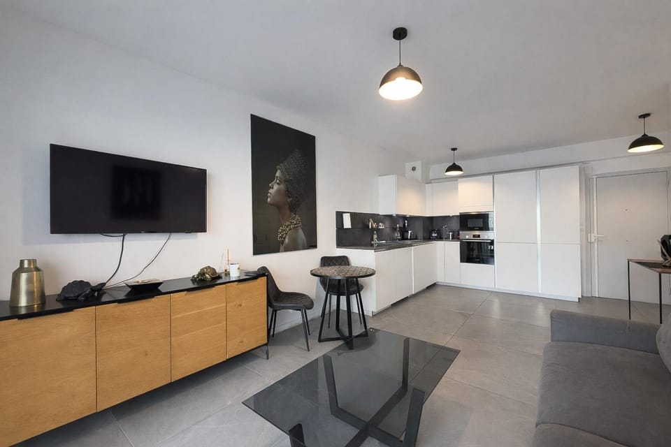 BEAUTIFUL 1 - BR APARTMENT - Next To Rue Antibes Apartment in Cannes