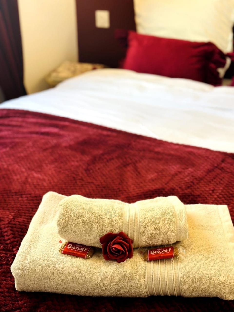 Grand appartement - Quartier Gare Rennes Apartment in Rennes