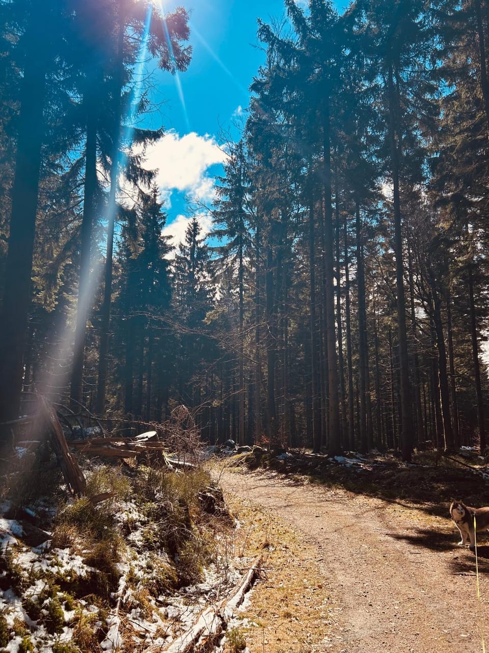 Nearby landmark, Spring, Day, Natural landscape