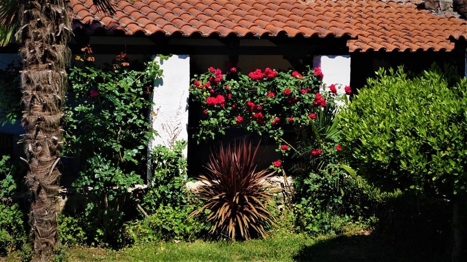 Garden, Balcony/Terrace