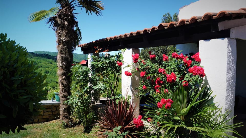Garden, Garden view, Area and facilities