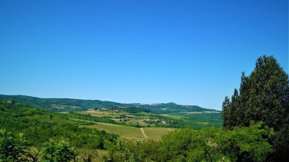Garden, Garden view, Landmark view