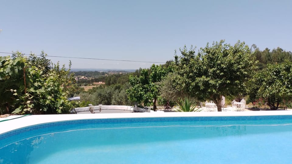 Garden, Pool view, Swimming pool