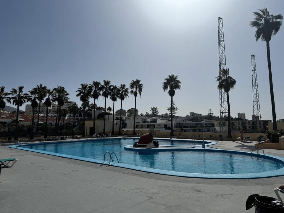 Day, Pool view, Swimming pool, sunbed