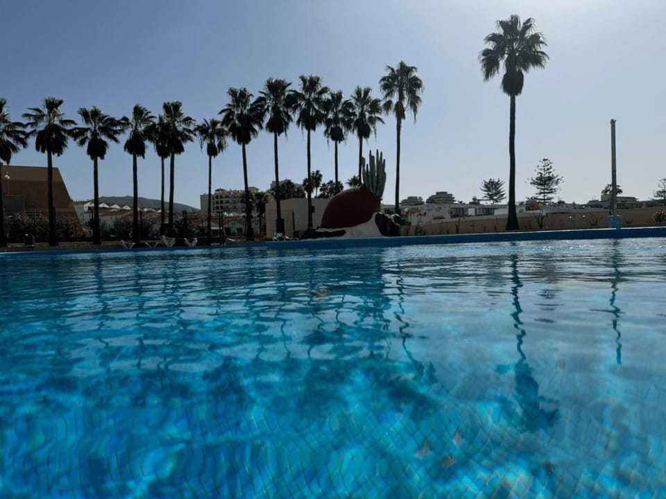 Day, Pool view, Swimming pool, sunbed