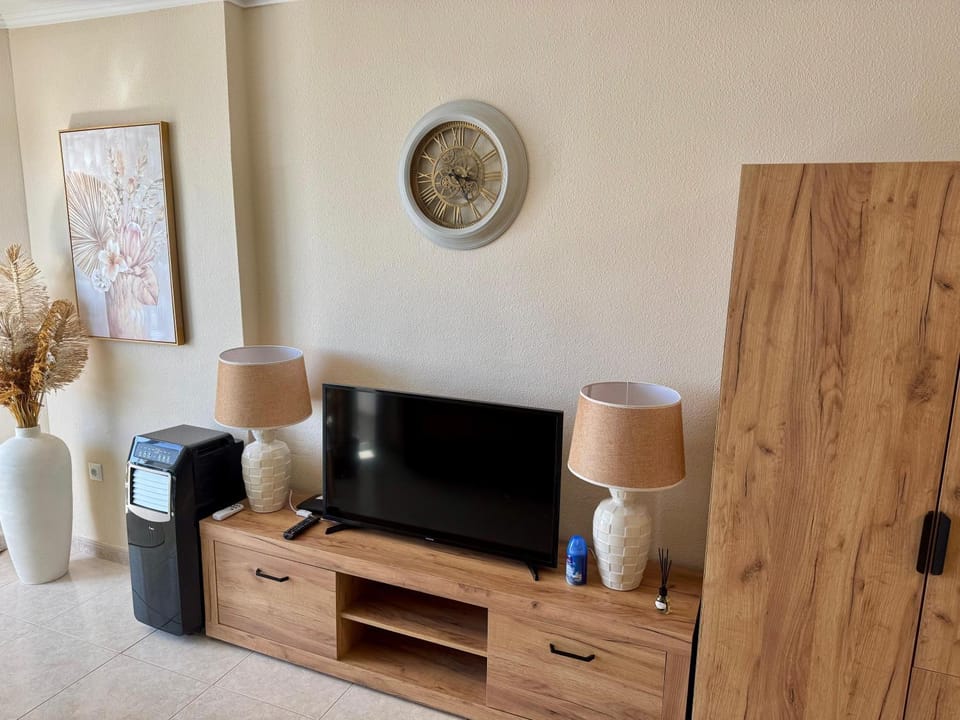 TV and multimedia