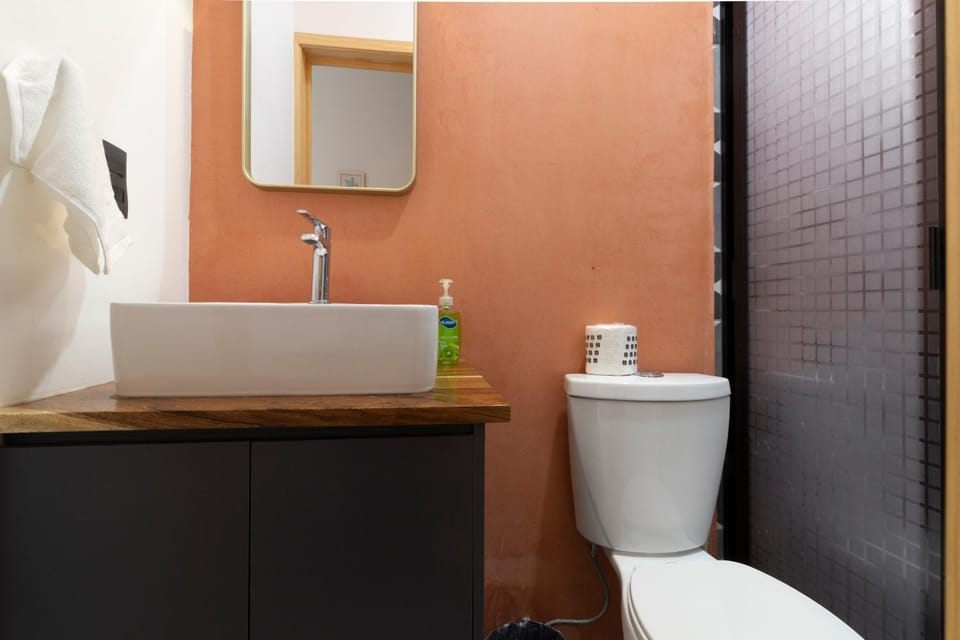 Lofts NUEVE - Centro Histórico Querétaro Apartment in Santiago de Queretaro