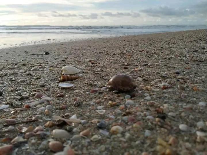 Beach, Sea view