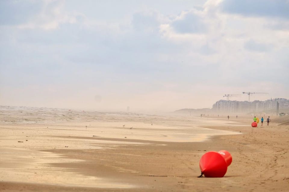 Natural landscape, Beach