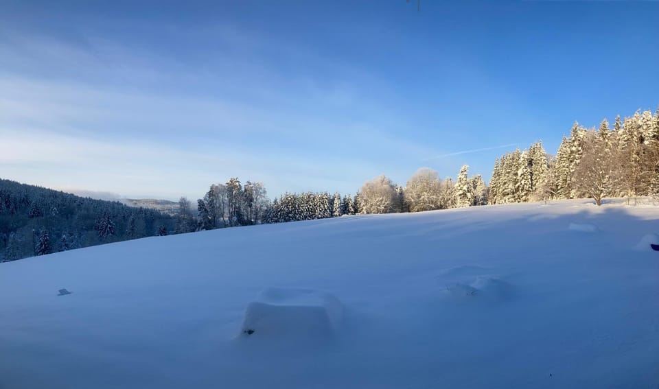 Day, Natural landscape, Winter, View (from property/room), Garden view