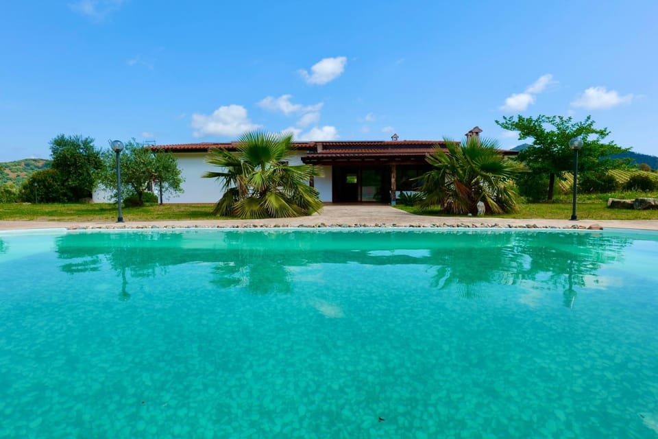 Garden, Garden view, Swimming pool