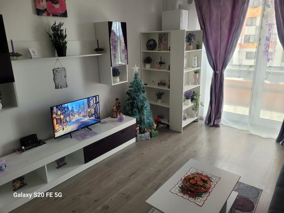 Casa cu lavanda Apartment in Brasov