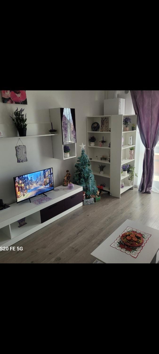 Casa cu lavanda Apartment in Brasov