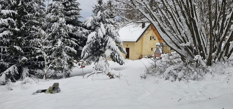 Natural landscape, Winter