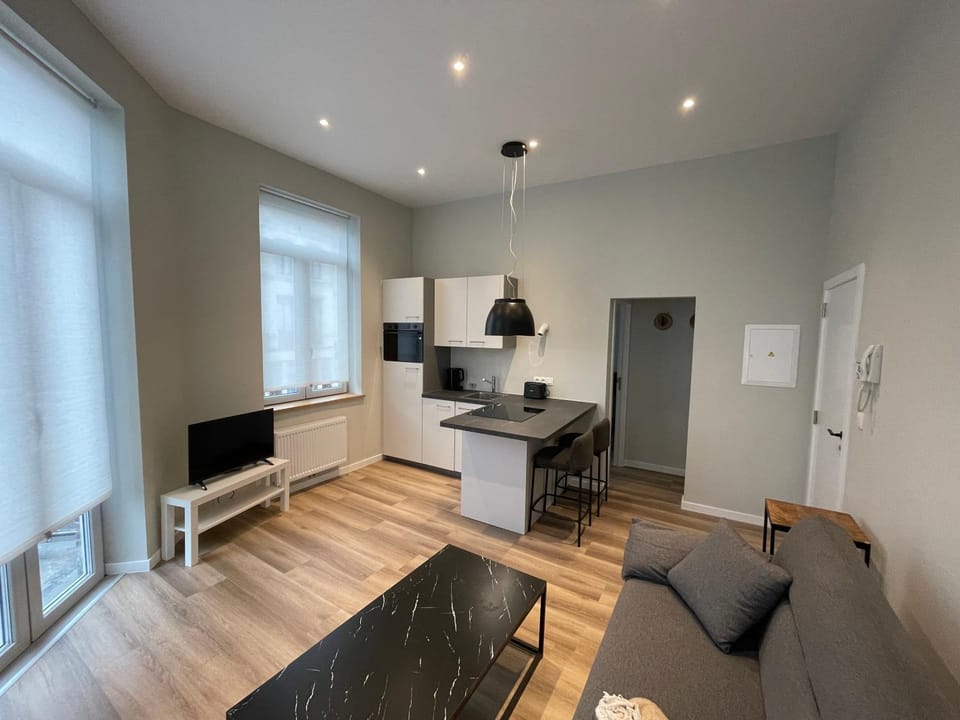 Midi Station Apartment in Saint-Gilles