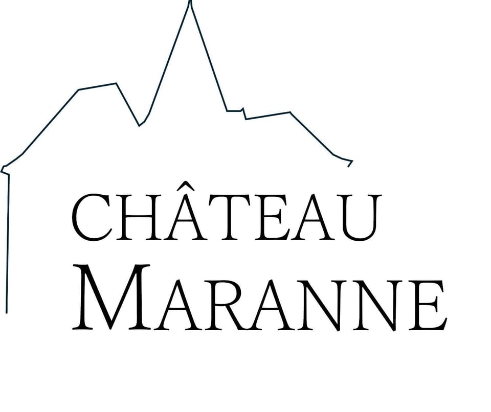 chambre Prestige - Château Maranne Bed and Breakfast in Pays de la Loire
