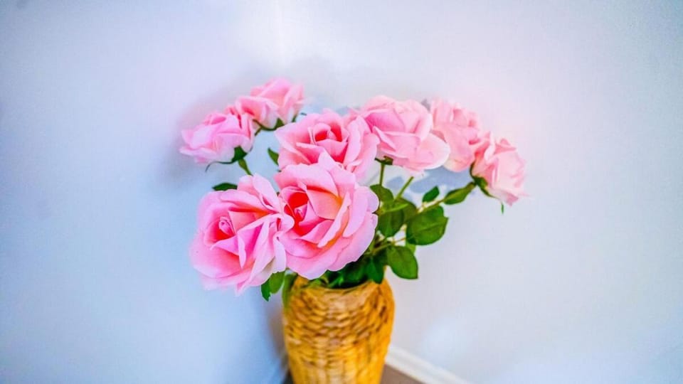 Bright and Cozy Home- Downtown Indianapolis House in Indianapolis