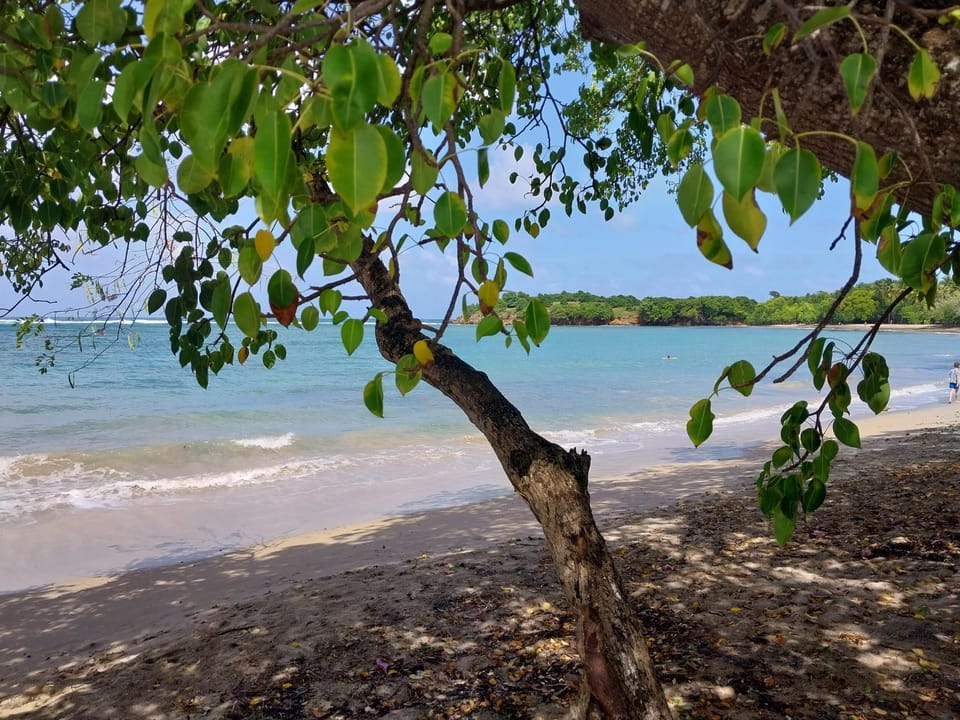 Natural landscape, Beach
