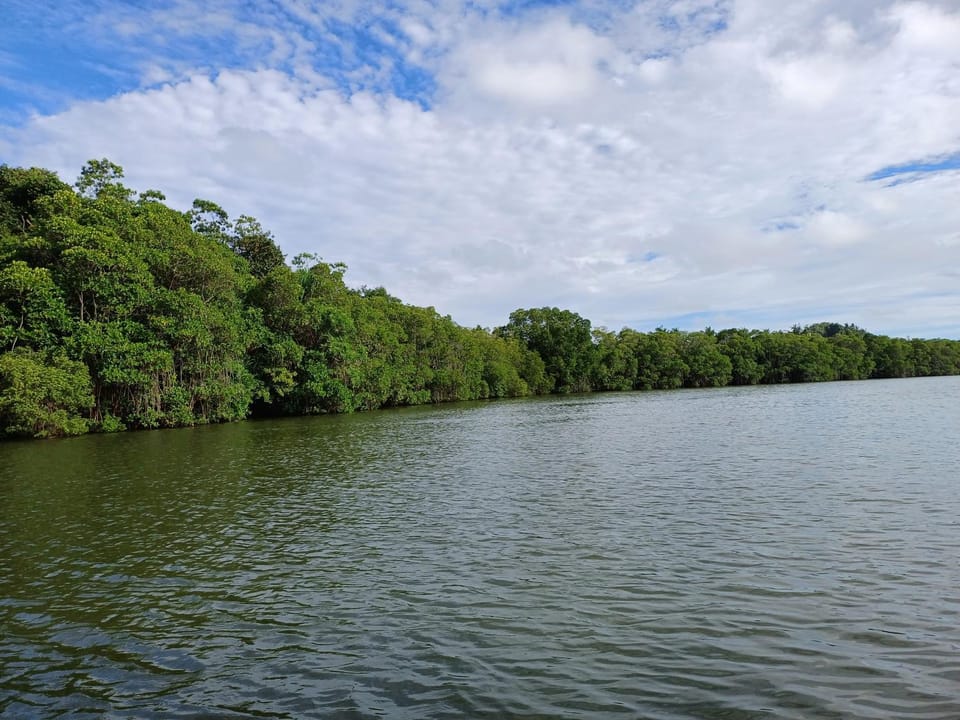 Natural landscape, Lake view