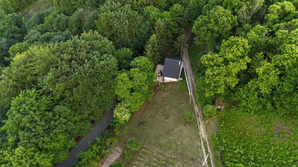 Spring, Neighbourhood, Natural landscape, Bird's eye view