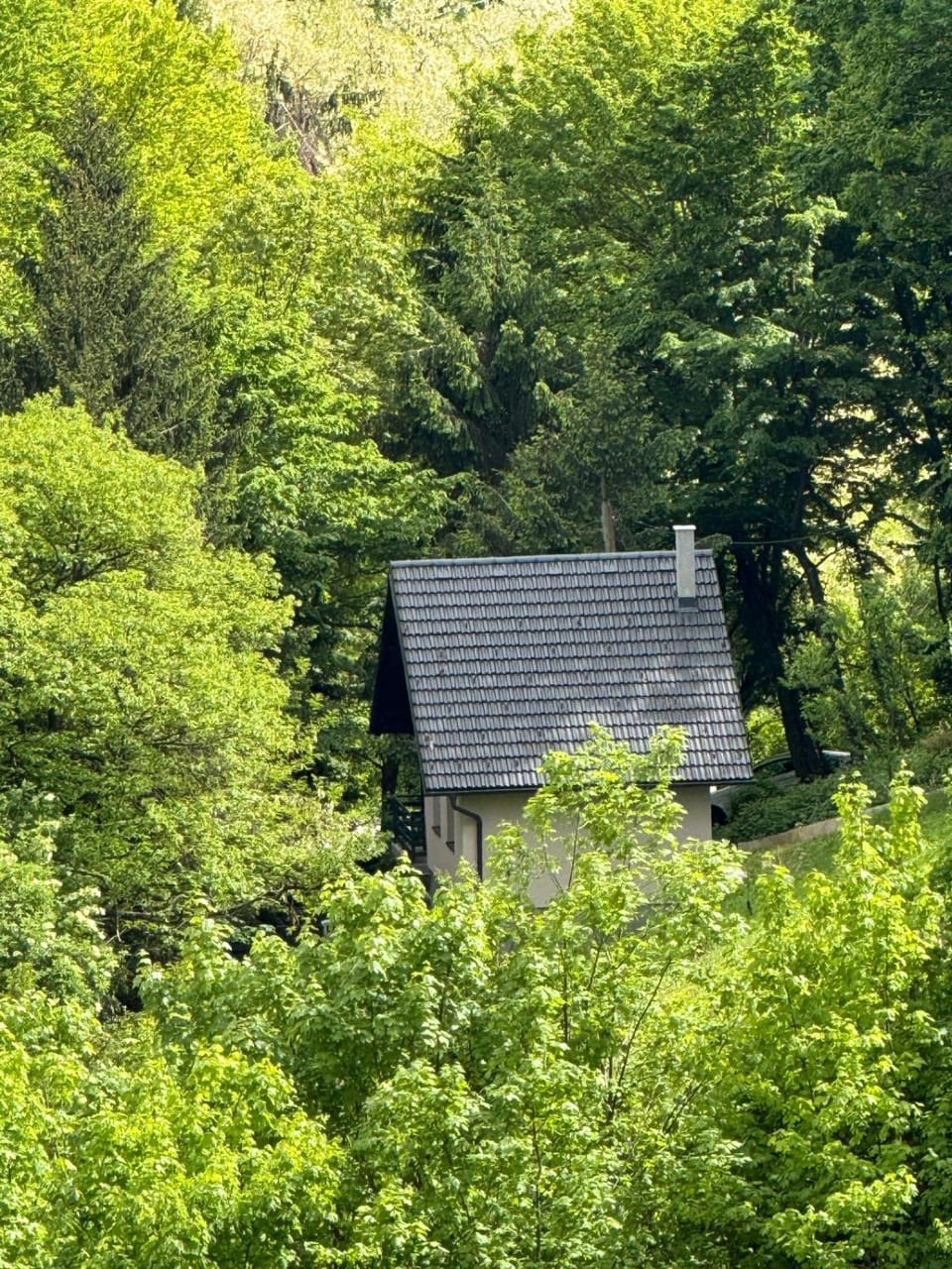 Natural landscape
