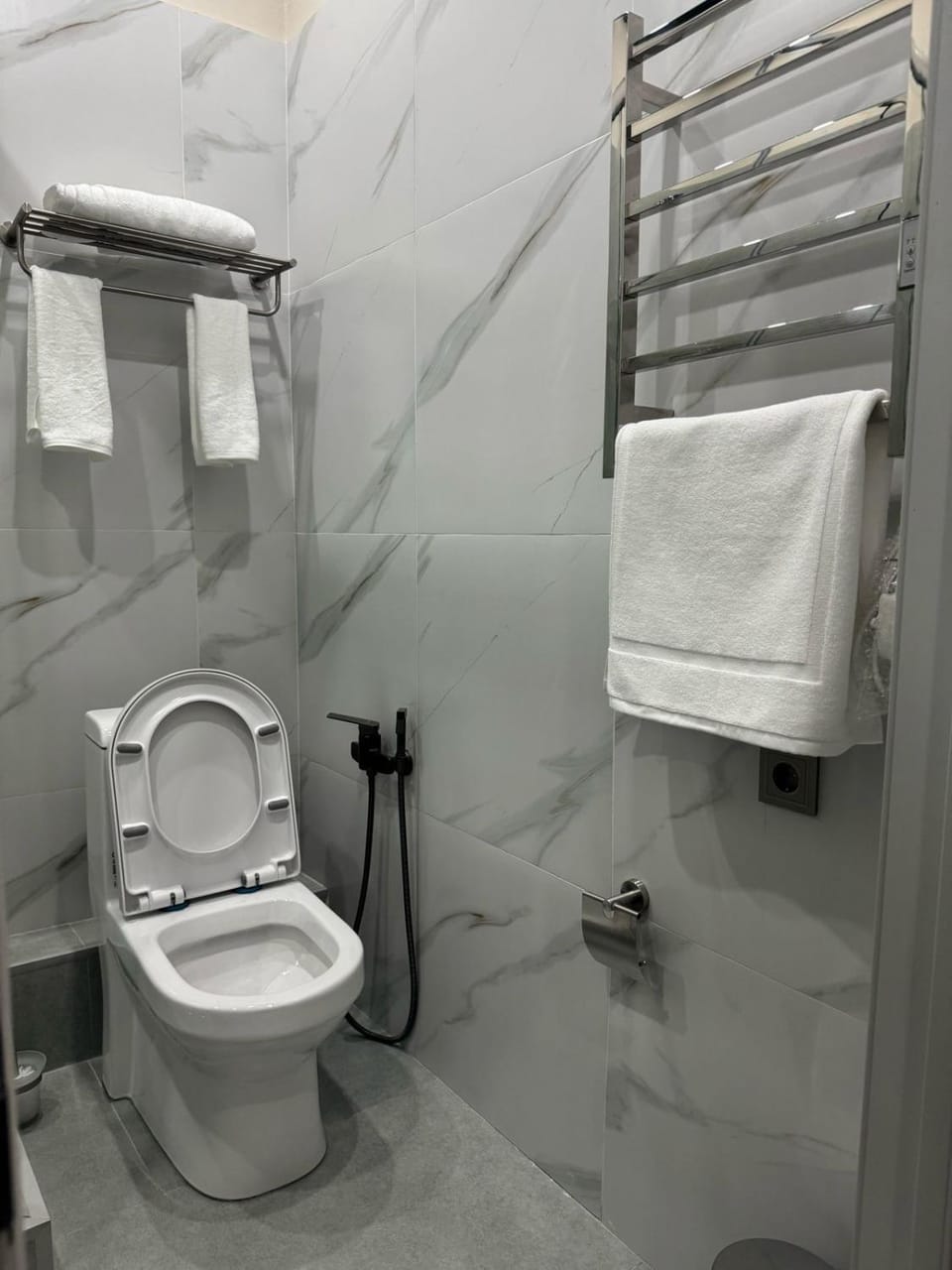 Shower, Toilet, towels