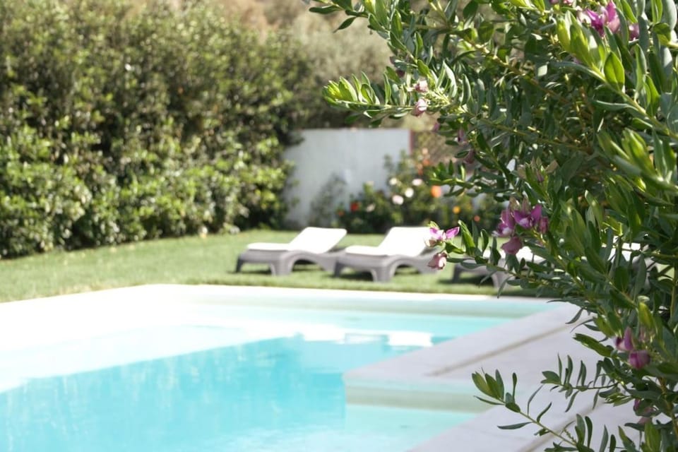 Garden view, Swimming pool, sunbed