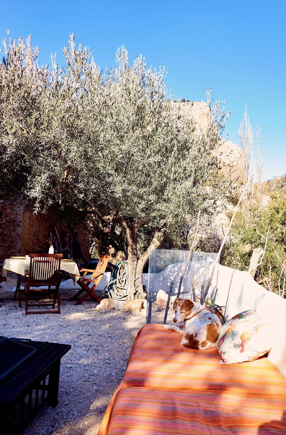 Natural landscape, Garden