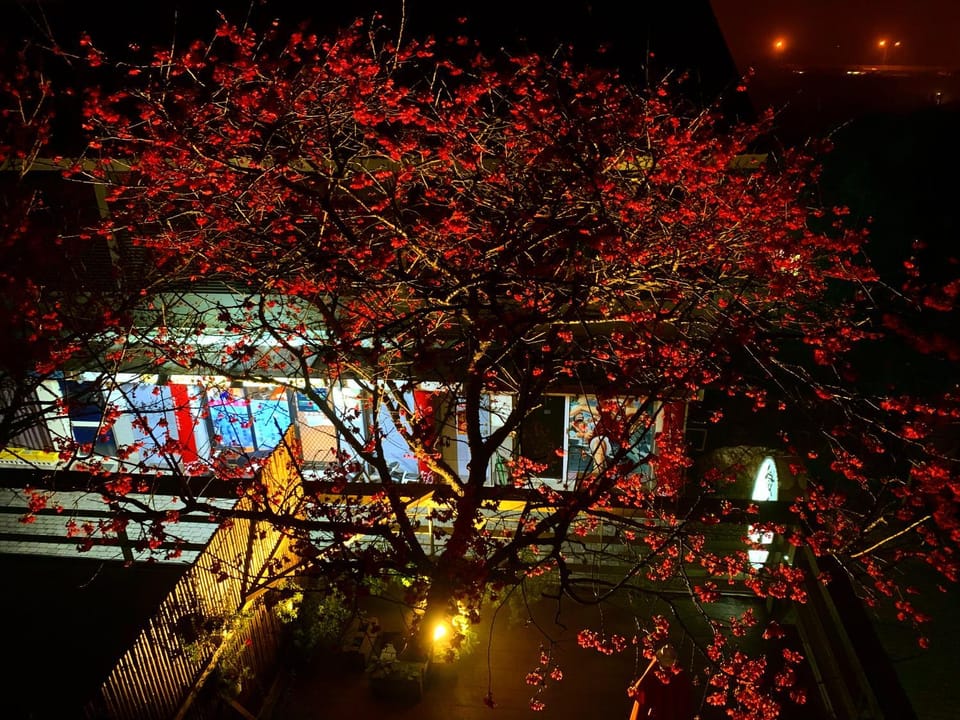Sanyi Wei Wei Feng B&B Vacation rental in Taiwan, Province of China